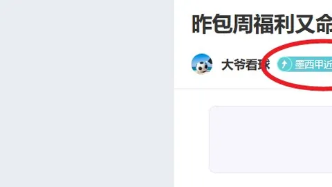 马卡报：贝林厄姆禁赛两场与C罗早年采访中对用词的说明有关联